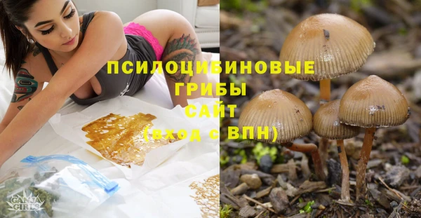 Альфа ПВП Алексеевка